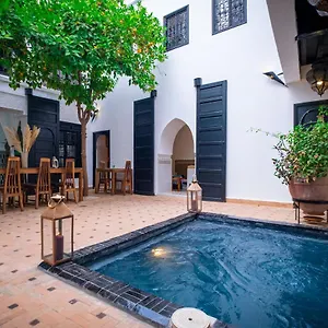 Ajmal Hotel typu riad